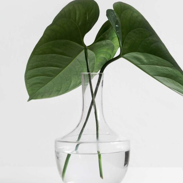 Glass vase