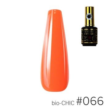 BioChic Gel Colour #066