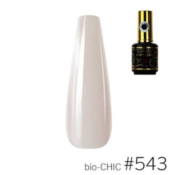 BioChic Gel Colour #543