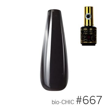 BioChic Gel Colour #667